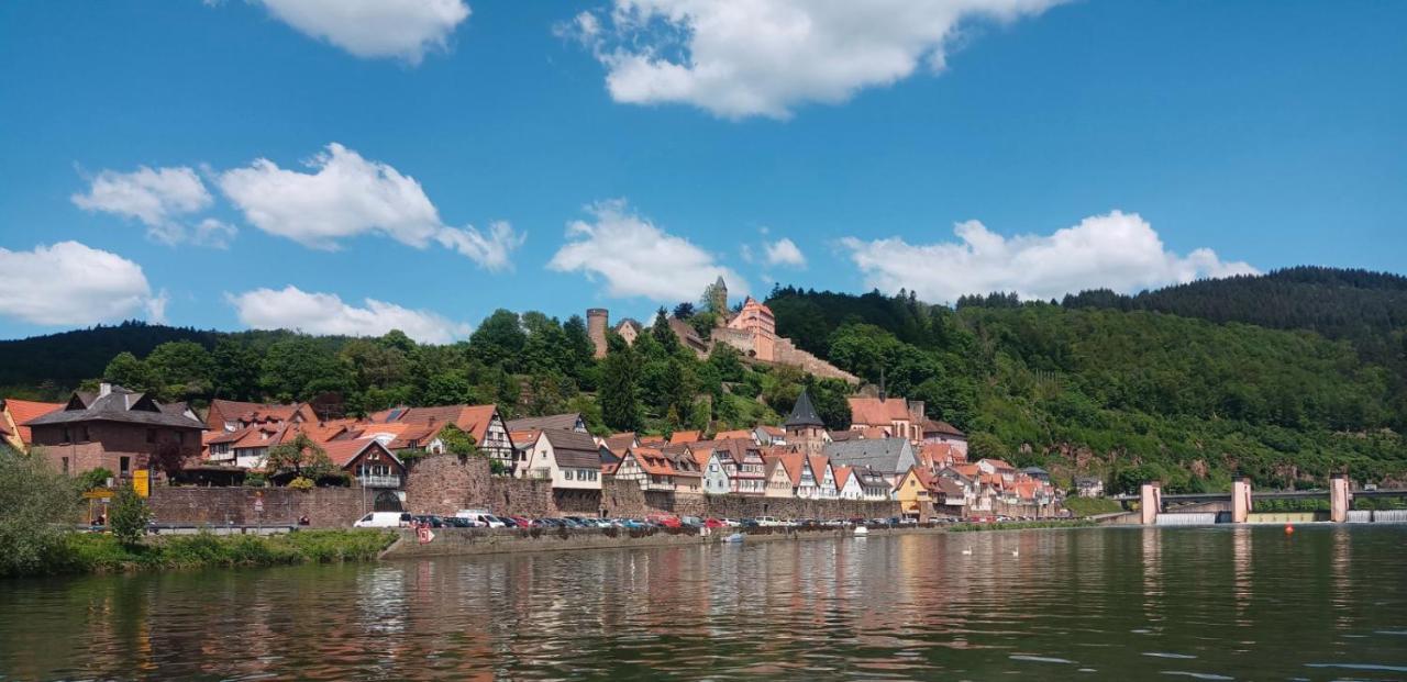 Appartement Schlossberg, Gasthaus Hirsch هيرشهورن المظهر الخارجي الصورة