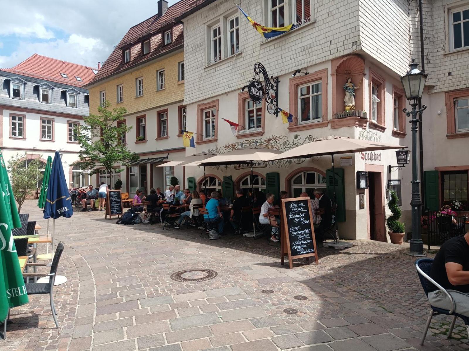 Appartement Schlossberg, Gasthaus Hirsch هيرشهورن المظهر الخارجي الصورة